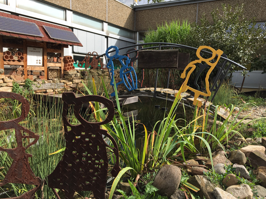 Privater Pflanzenteich im Heimischen Garten